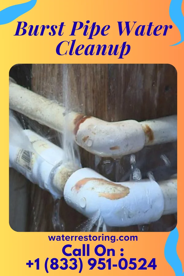 Burst Pipe Water Cleanup in Big Stone Gap East, VA