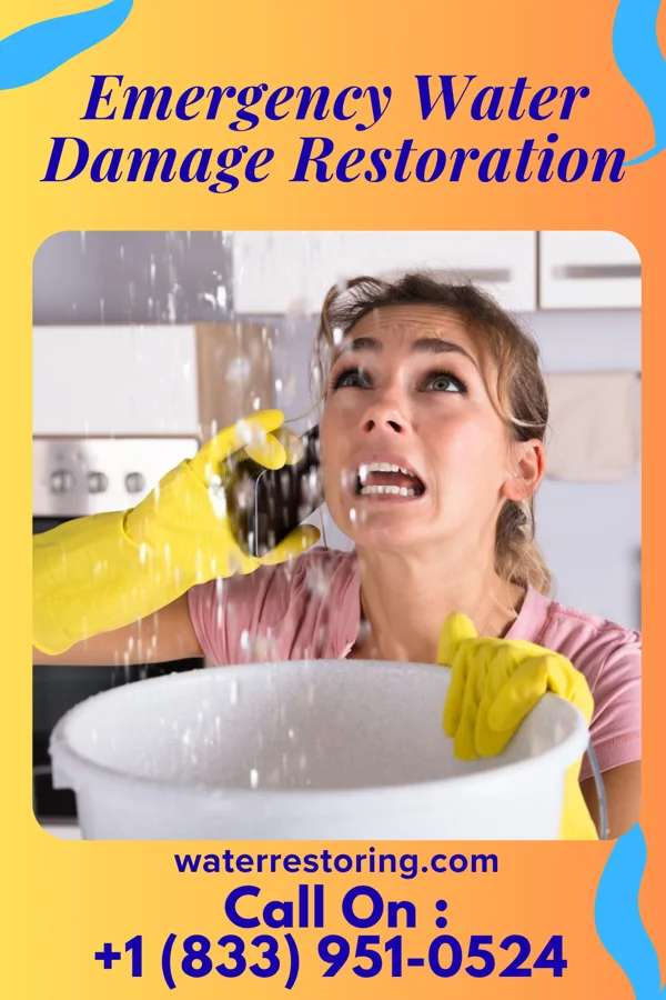Emergency Water Damage Restoration in Big Stone Gap East, VA