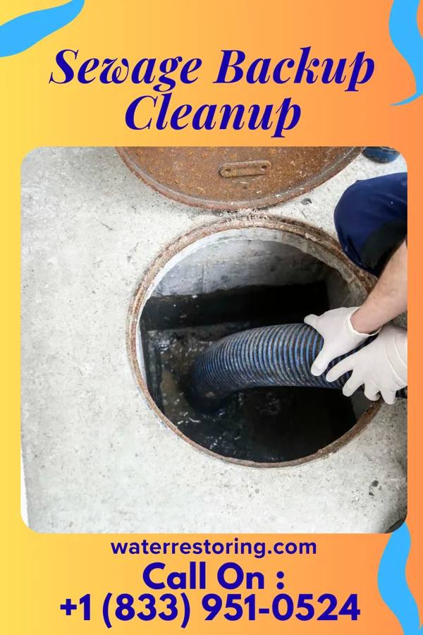 Sewage Backup Cleanup in Big Stone Gap East, VA